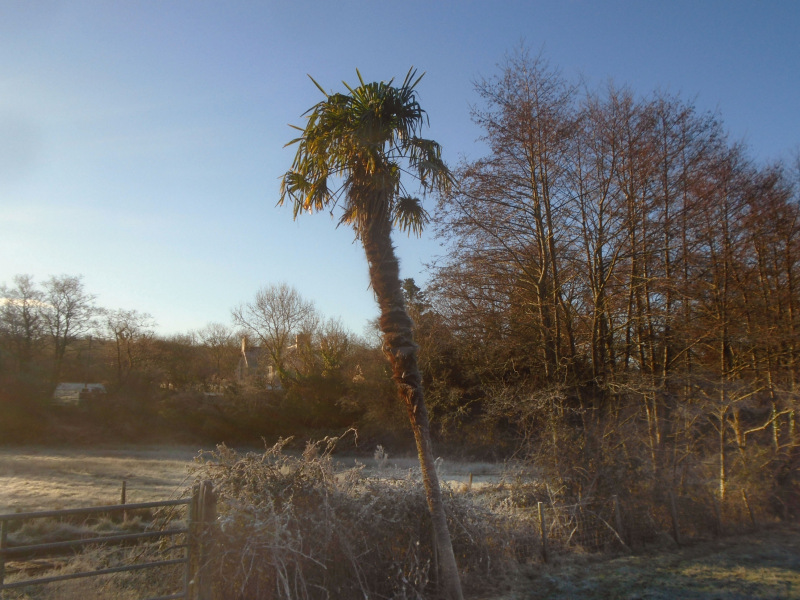 Photograph of Walking Route - Image 4