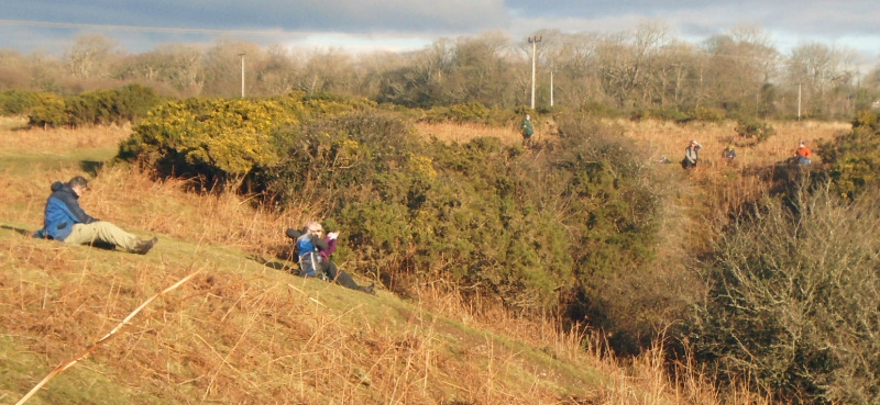 Photograph of Walking Route - Image 15