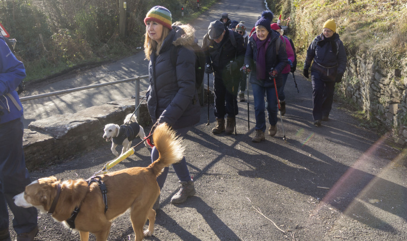 Photograph of Walking Route - Image 4