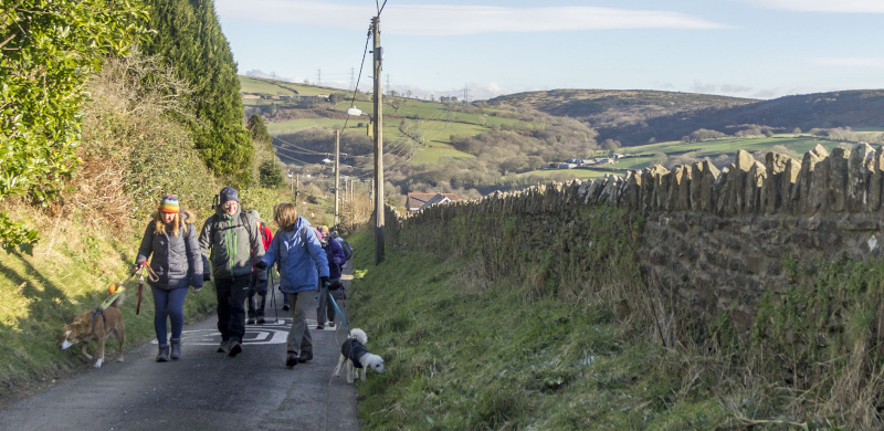 Photograph of Walking Route - Image 8