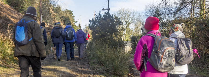 Photograph of Walking Route - Image 16