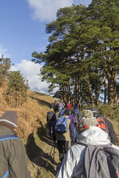 Photograph of Walking Route - Image 17