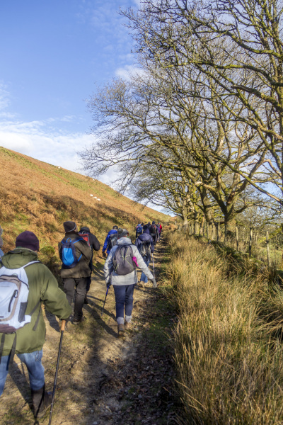 Photograph of Walking Route - Image 19