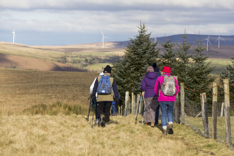 Photograph of Walking Route - Image 40