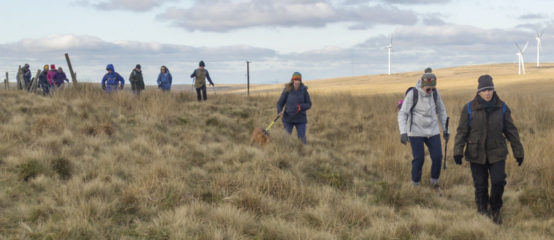 Photograph of Walking Route - Image 46