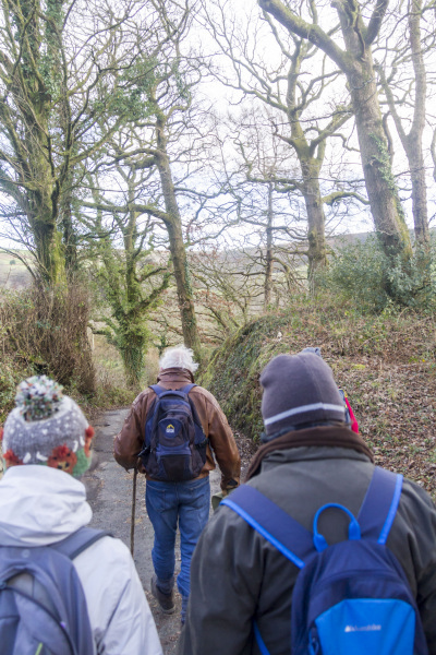 Photograph of Walking Route - Image 61