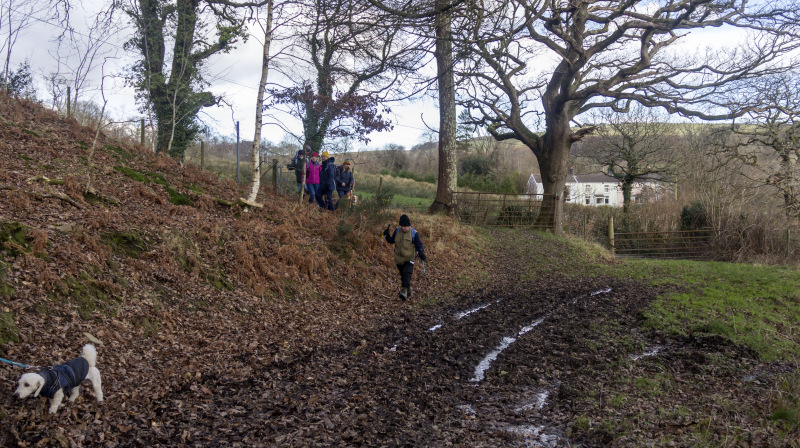 Photograph of Walking Route - Image 63