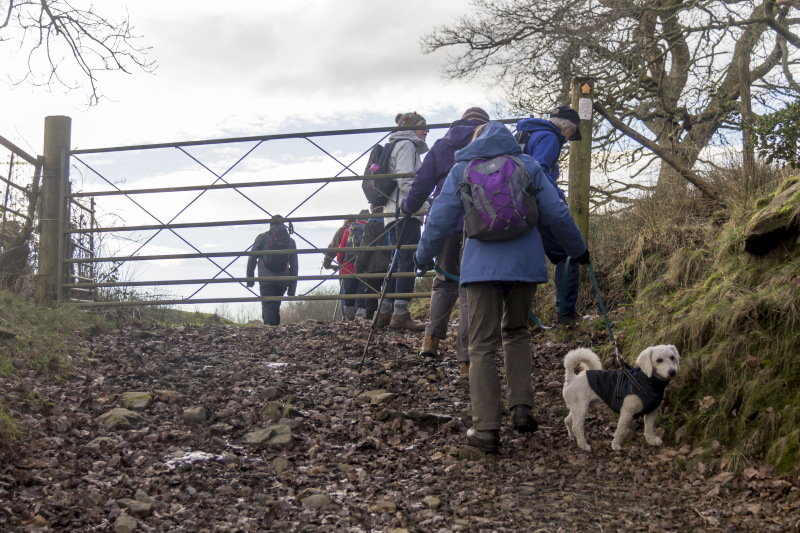 Photograph of Walking Route - Image 64