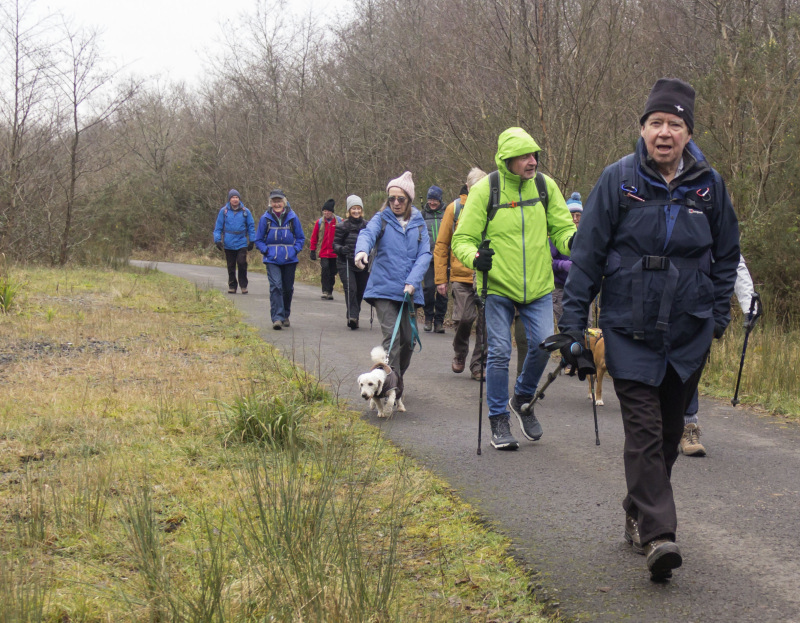 Photograph of Walking Route - Image 35