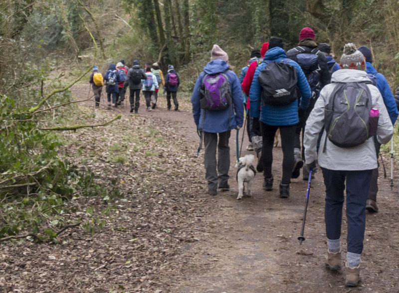 Photograph of Walking Route - Image 40