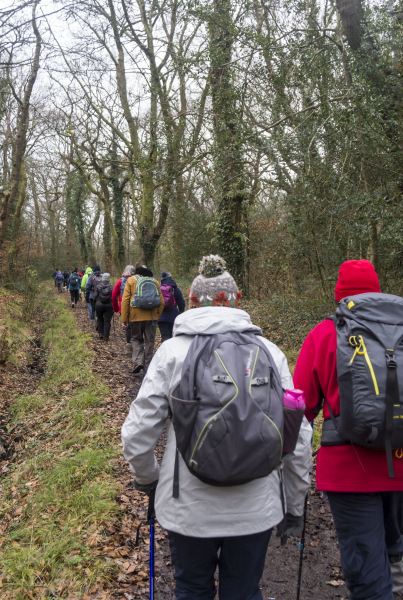 Photograph of Walking Route - Image 44