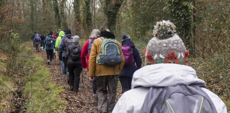 Photograph of Walking Route - Image 45