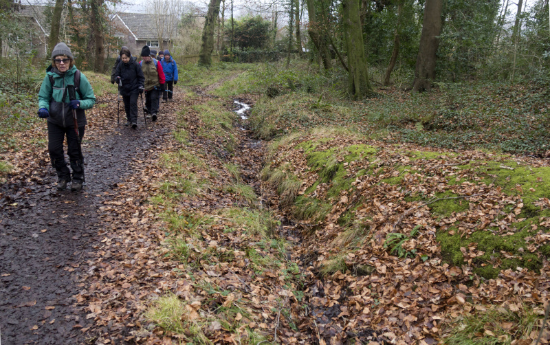 Photograph of Walking Route - Image 46