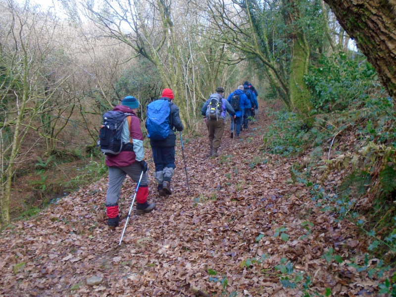 Photograph of Walking Route - Image 1