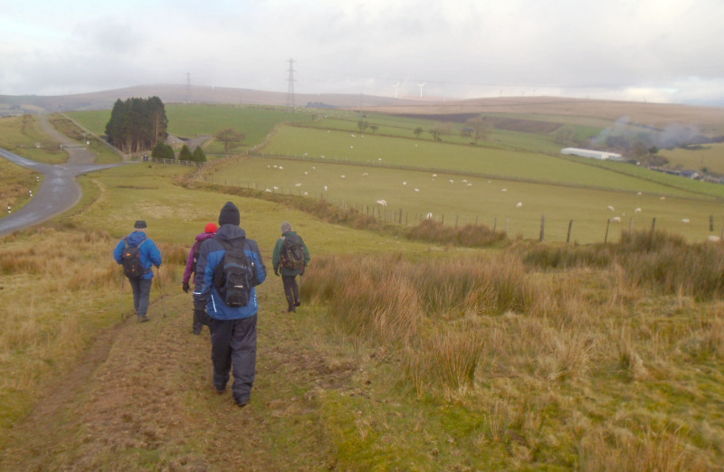 Photograph of Walking Route - Image 2