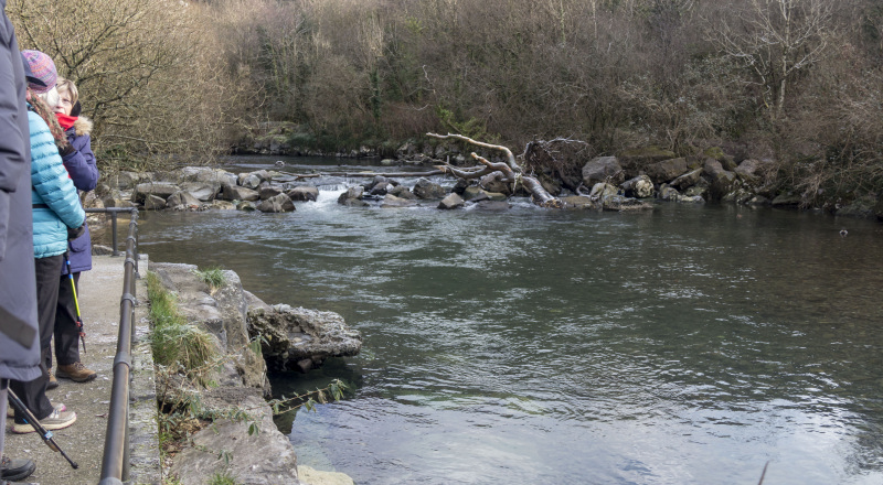 Photograph of Walking Route - Image 5