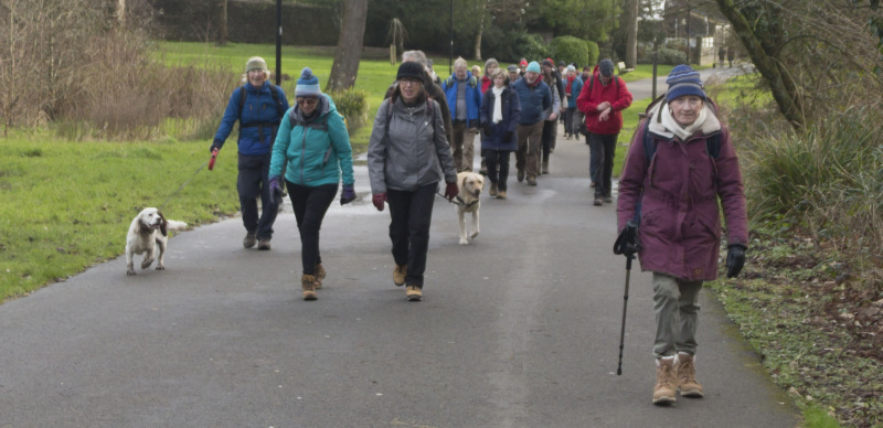 Photograph of Walking Route - Image 31