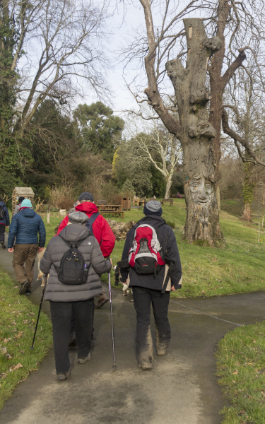 Photograph of Walking Route - Image 32