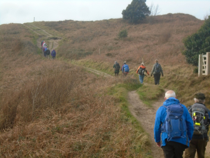 Photograph of Walking Route - Image 5