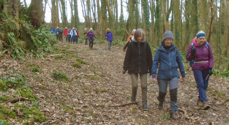 Photograph of Walking Route - Image 9