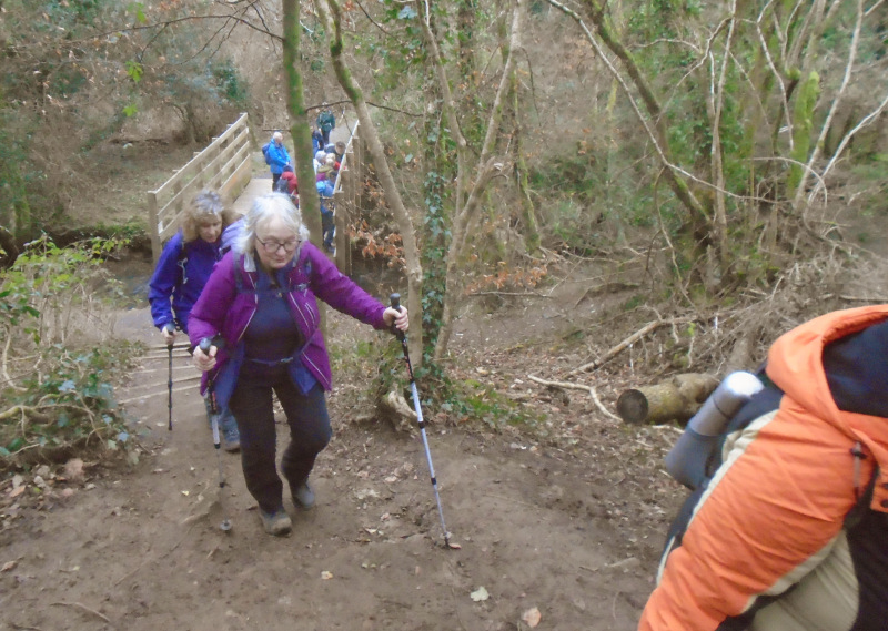 Photograph of Walking Route - Image 10