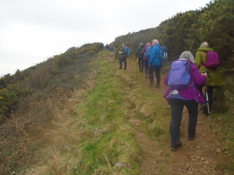 Photograph of Walking Route - Image 16