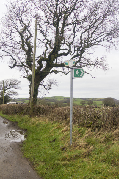 Photograph of Walking Route - Image 3