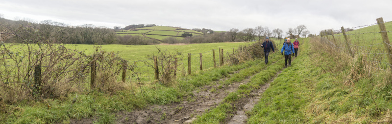 Photograph of Walking Route - Image 9