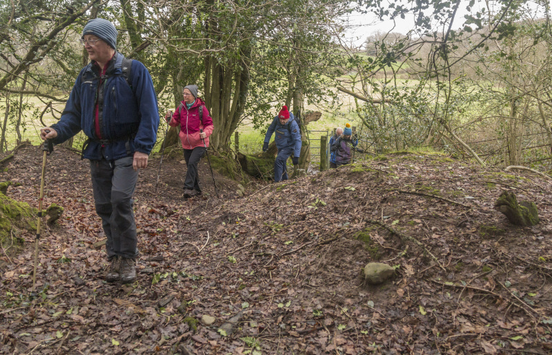 Photograph of Walking Route - Image 11