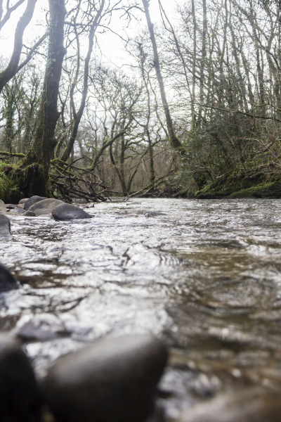 Photograph of Walking Route - Image 16