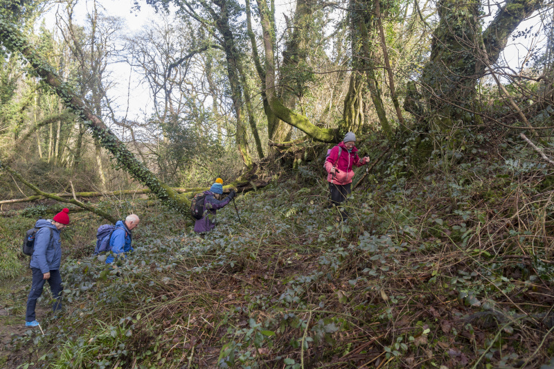 Photograph of Walking Route - Image 17