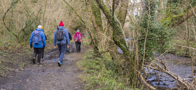 Photograph of Walking Route - Image 19