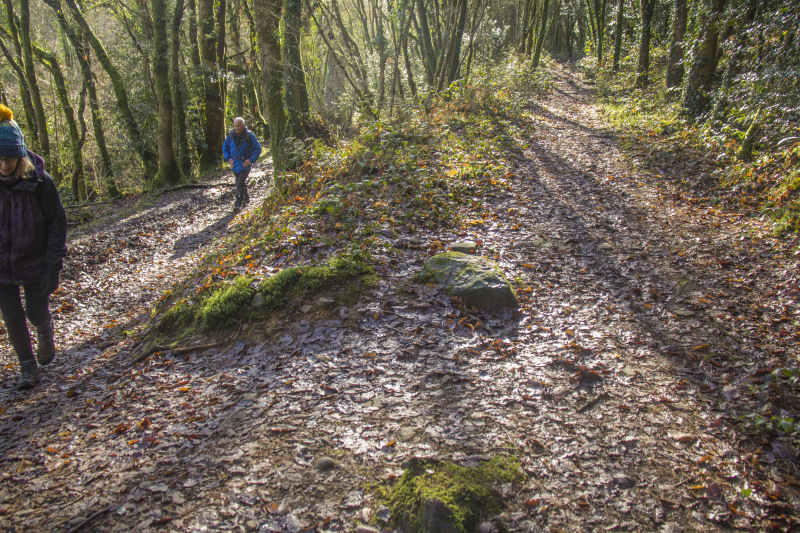 Photograph of Walking Route - Image 22