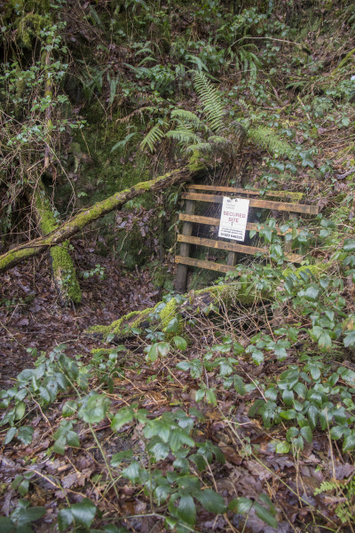 Photograph of Walking Route - Image 23