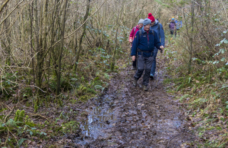 Photograph of Walking Route - Image 25