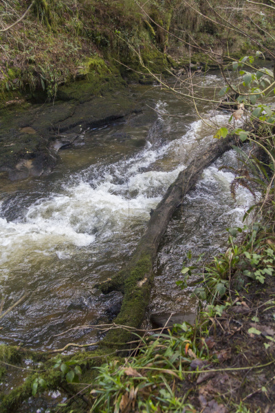 Photograph of Walking Route - Image 27