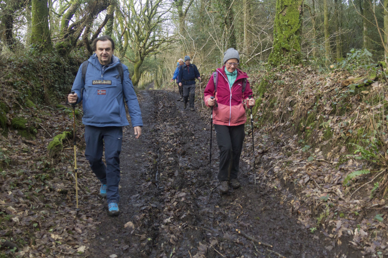 Photograph of Walking Route - Image 30