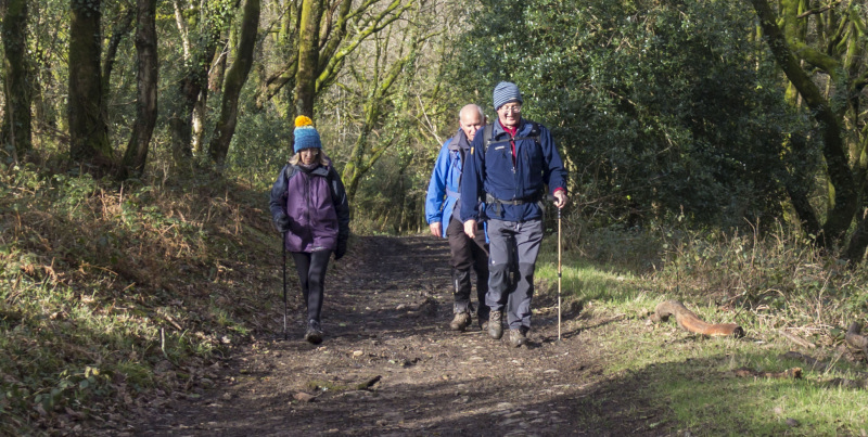 Photograph of Walking Route - Image 31