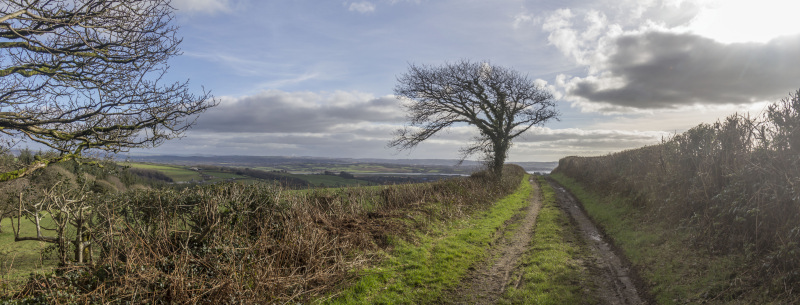 Photograph of Walking Route - Image 32