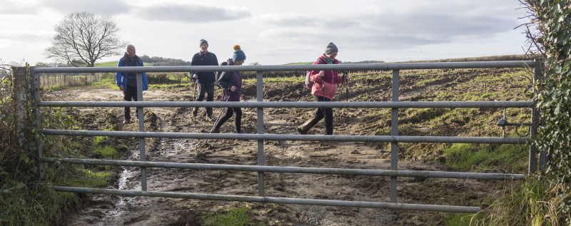 Photograph of Walking Route - Image 44