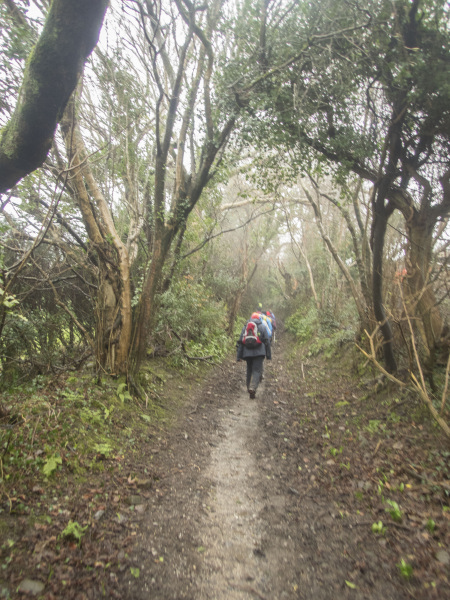 Photograph of Walking Route - Image 8