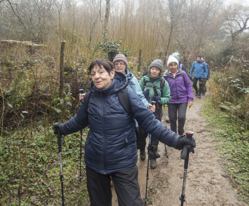 Photograph of Walking Route - Image 10