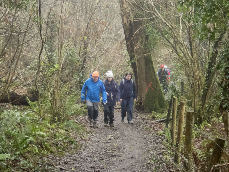 Photograph of Walking Route - Image 15