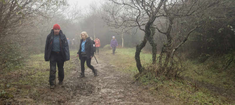 Photograph of Walking Route - Image 16