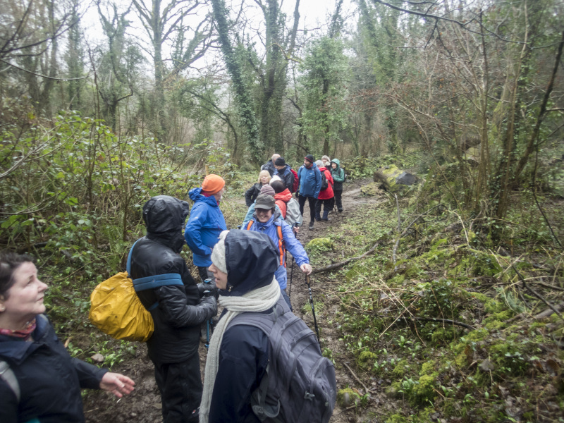 Photograph of Walking Route - Image 26