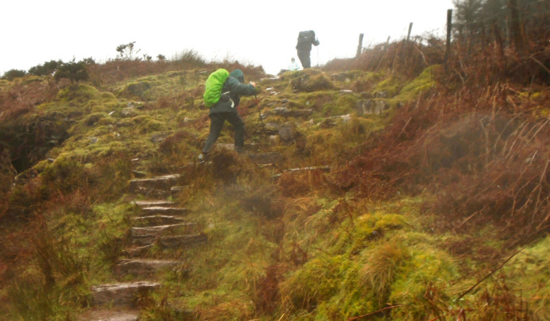 Photograph of Walking Route - Image 1