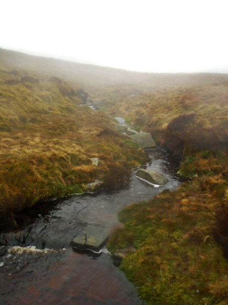 Photograph of Walking Route - Image 5