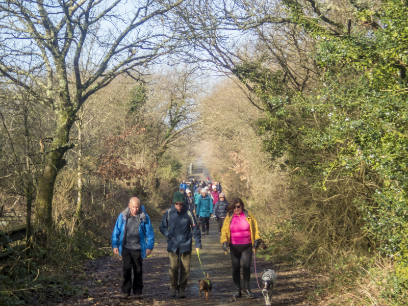 Photograph of Walking Route - Image 6