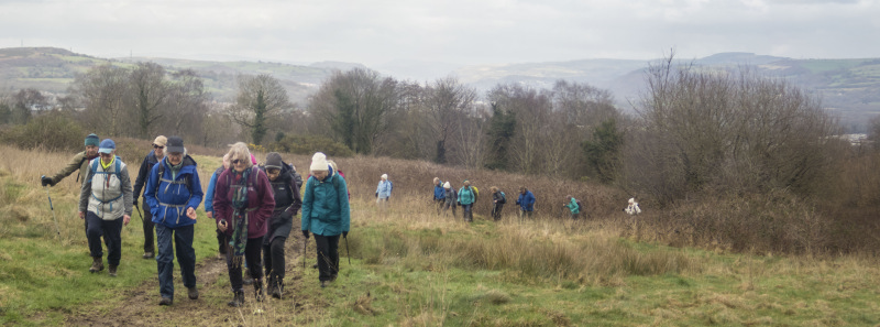 Photograph of Walking Route - Image 14