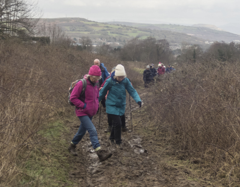 Photograph of Walking Route - Image 15